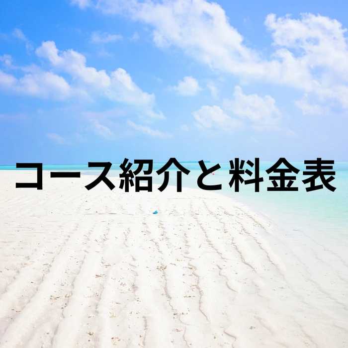 画像263