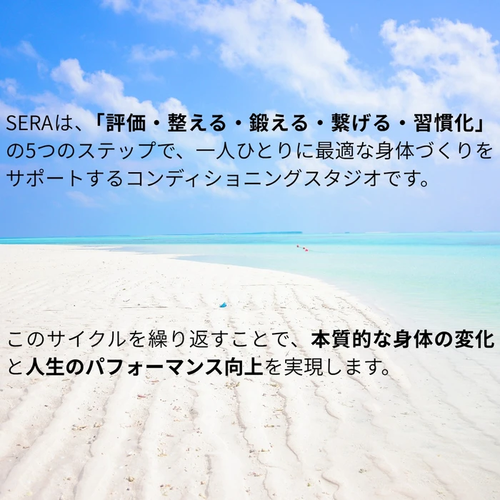 画像264