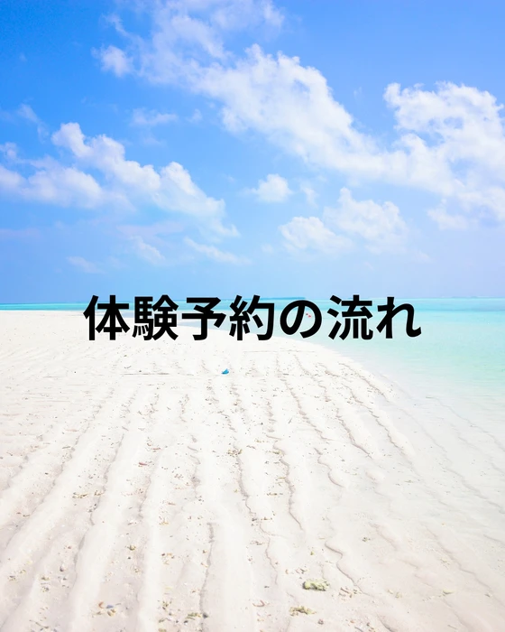 画像288