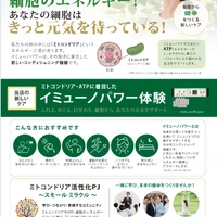 画像391